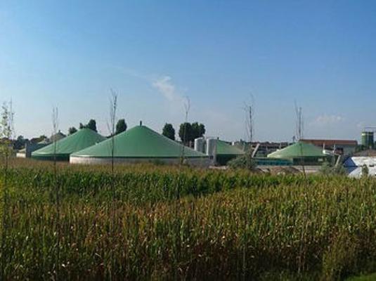Biogasanlage davor Mais