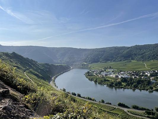 Die Mosel Blick von oben