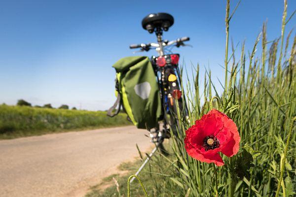 Fahrrad am Wegesrand