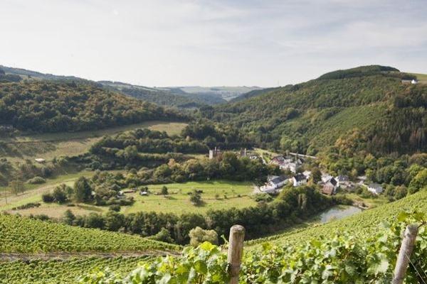 Sommerauer Schlossberg