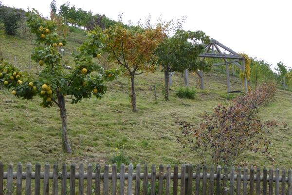 Themenweg Sortengarten 4