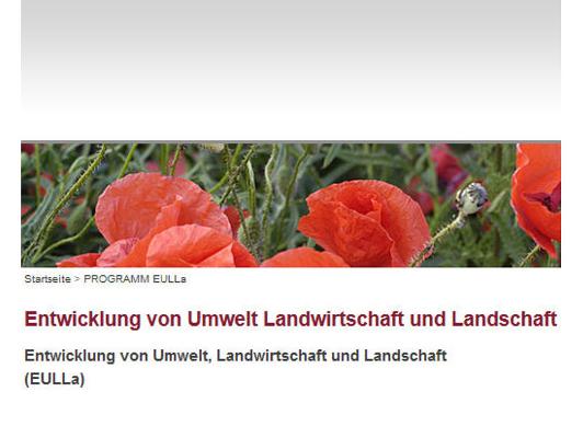 Eulla Grundsatz Beschreibung