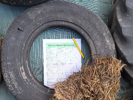 Silierprotokoll Grassilage