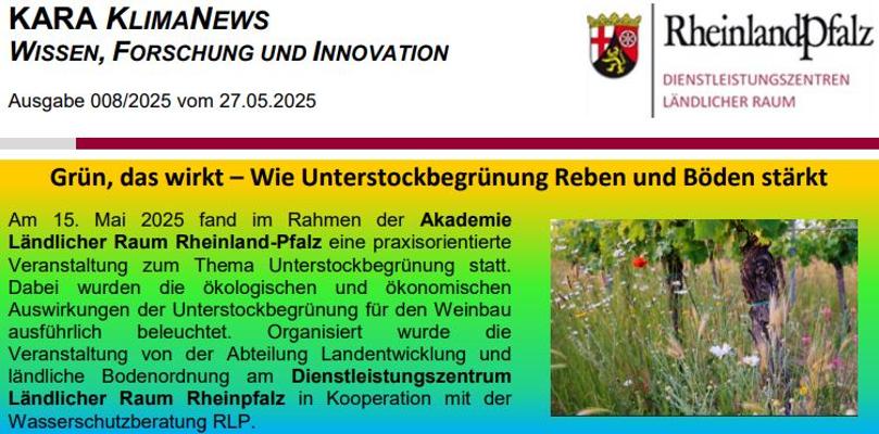 2025_008_KlimaNews_Unterstockbegrünung_Weinbau