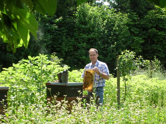 Imker Arbeit Bienenstock