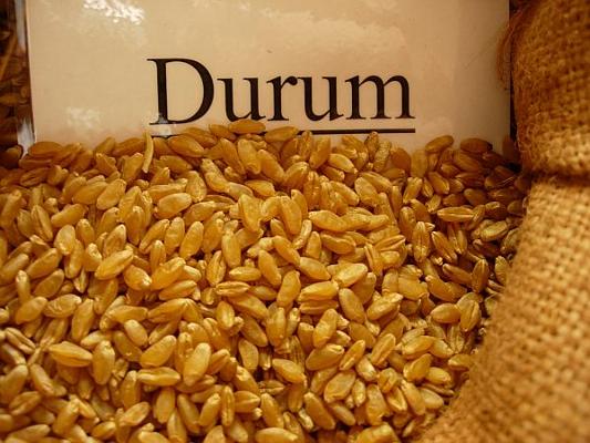 Durum