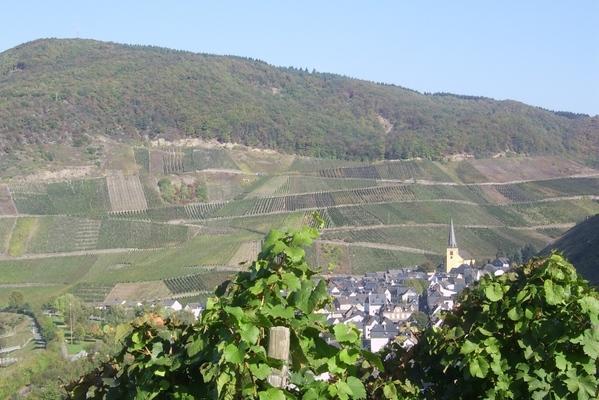 Leuchtpunkt Senheim 6