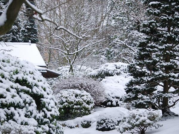 Garten Schnee
