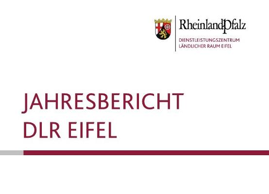 Dienstleistungszentrum Eifel - Jahresbericht