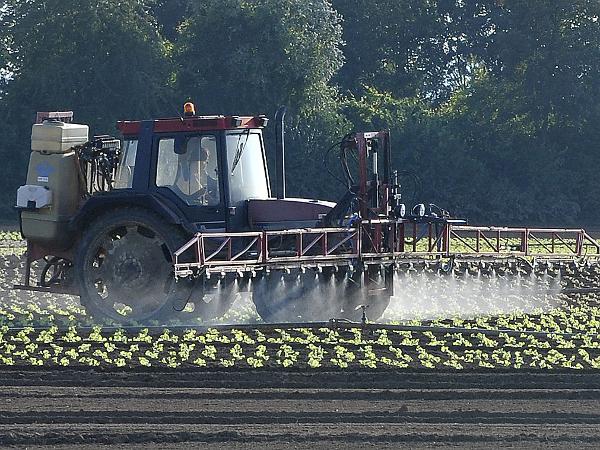 Pflanzenschutz Gemüse 2