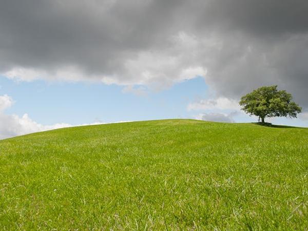 Grünland Hügel