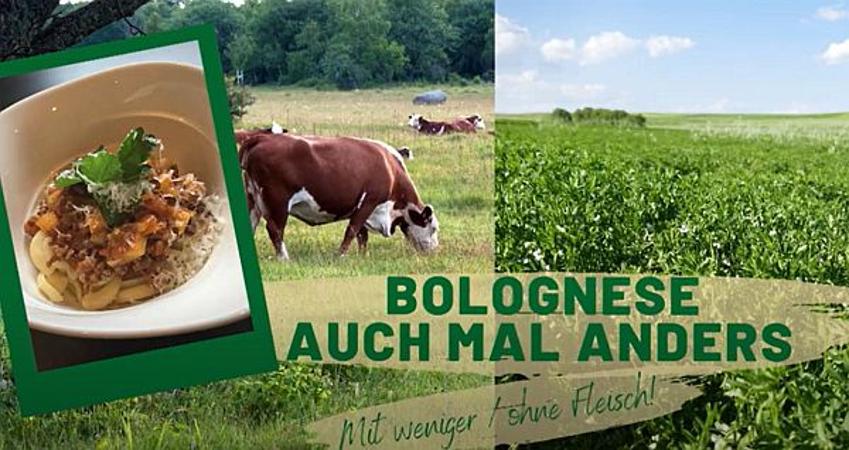 Bolognese einmal anders