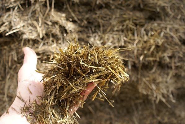 Grassilage Hand