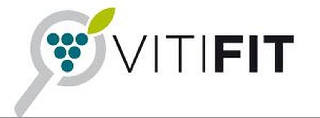 Logo Vitifit ©BMEL Logo Vitifit ©BMEL