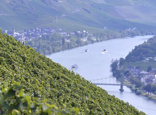Steillagen Weinbau Mosel