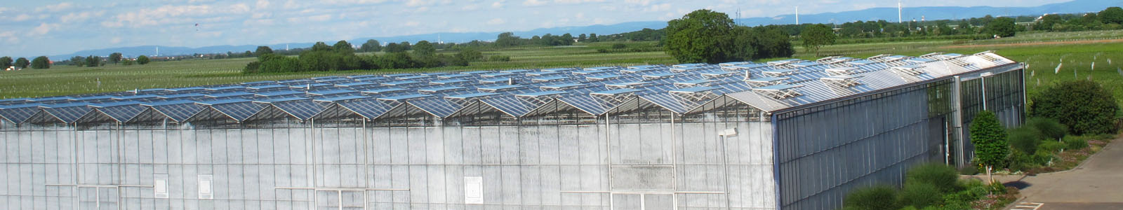 Glasgewächshaus, Außenansicht © Dienstleistungszentren Ländlicher Raum