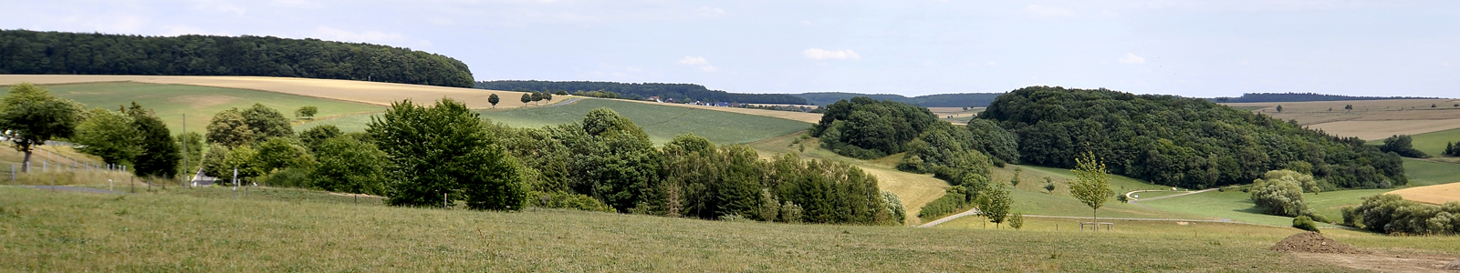 Landschaft mit Mittelgebirge im Hintergrund © Dienstleistungszentren Ländlicher Raum