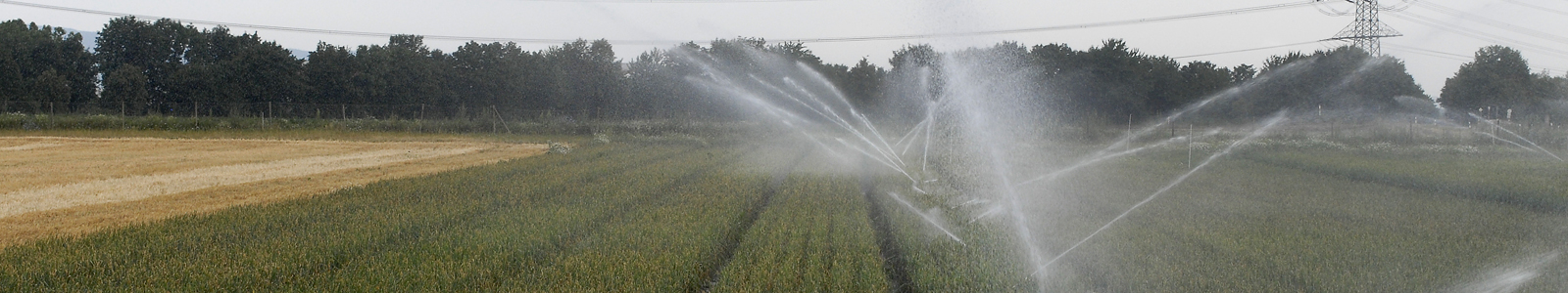 Agrarmeteorologie Landwirtschaft Bewasserung Bewasserungsanleitung