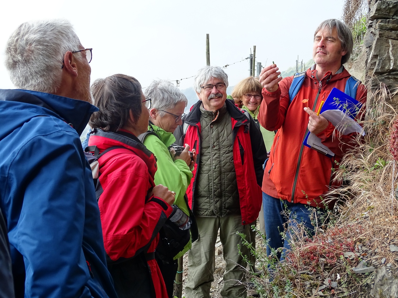 Naturerlebnisbegleiter - Foto: Dienstleistungszentrum Laendlicher Raum Mosel Natuererlebnisbegleiter im Weinberg