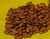 Wachtelbohnen