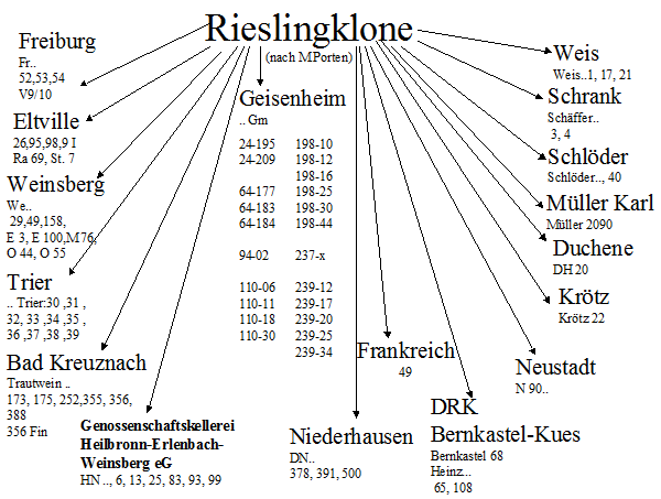 Diagramm Rieslingklone